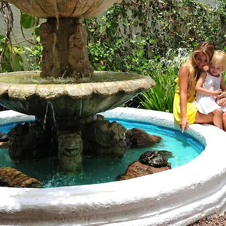 Tc Dorotea * Playa del Inglés