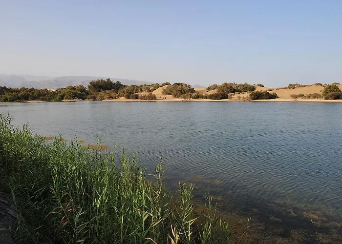 Apartment Tc Dorotea