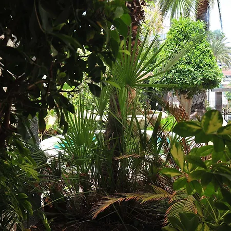 Appartement Tc Dorotea