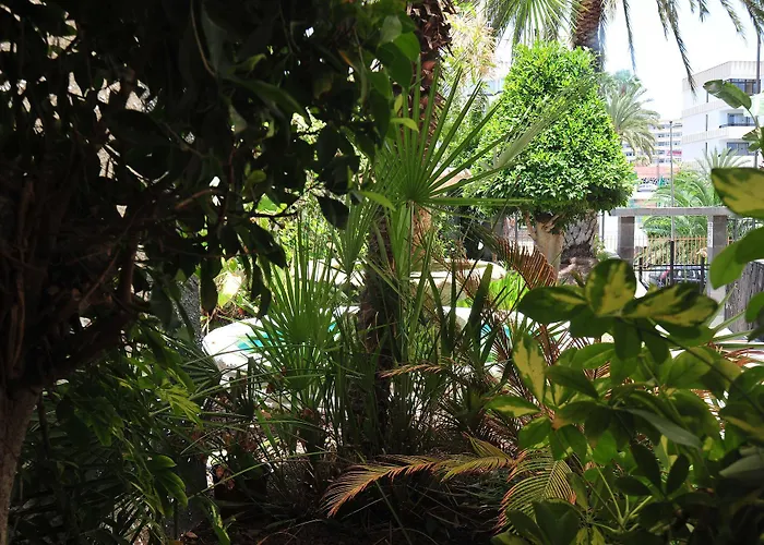 Apartment Tc Dorotea